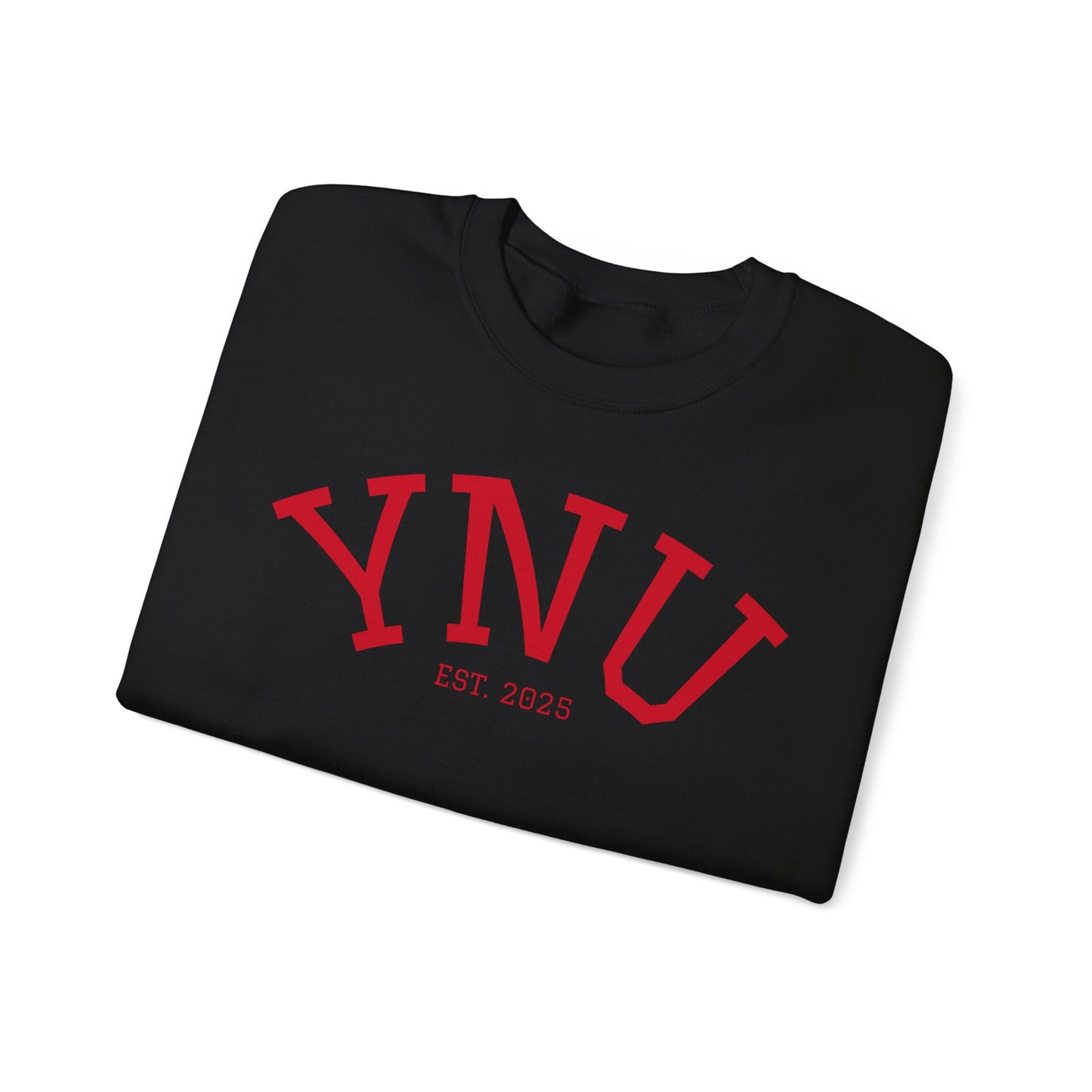 UNIVERSITY Crewneck