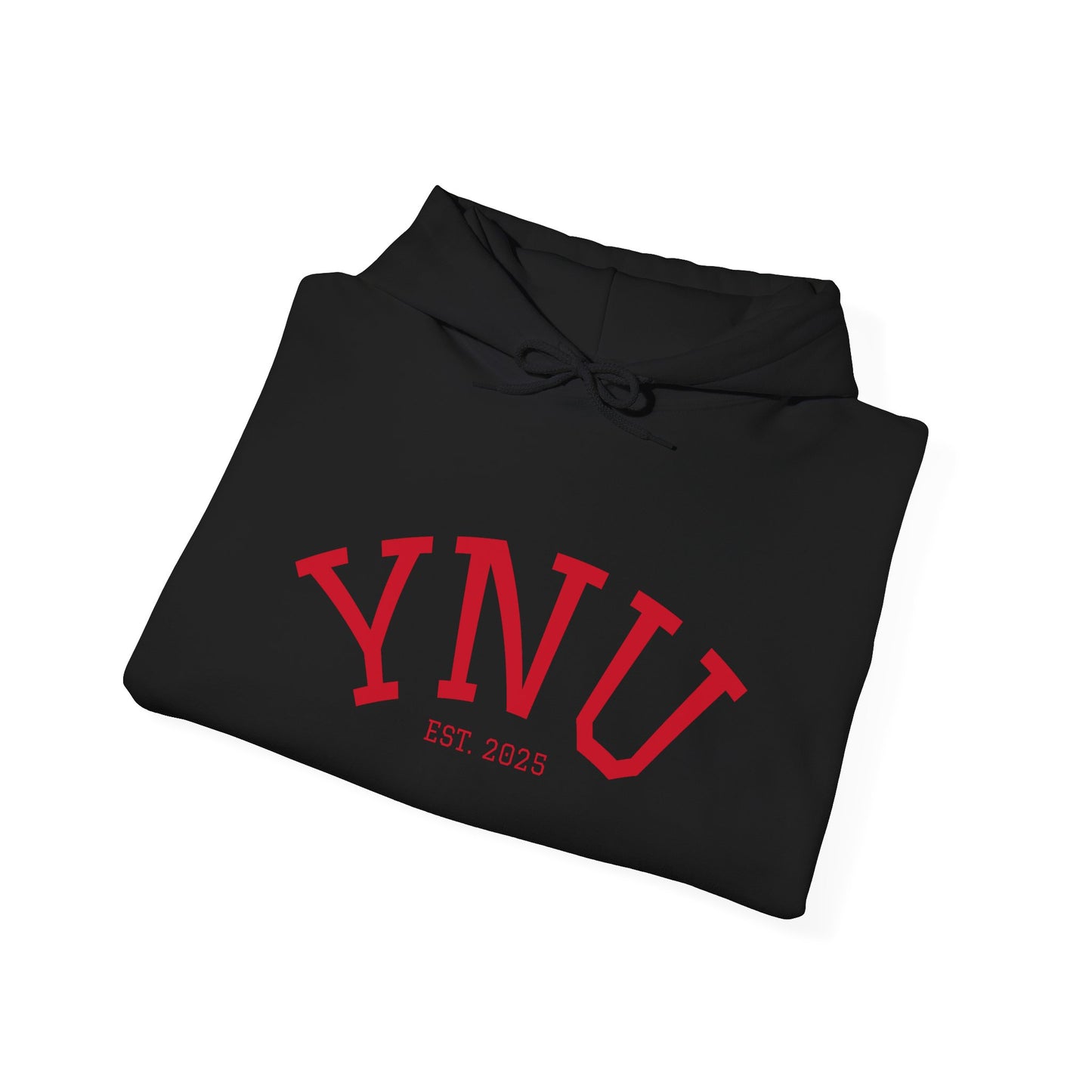 UNIVERSITY Hoodie