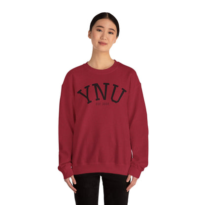 UNIVERSITY Crewneck