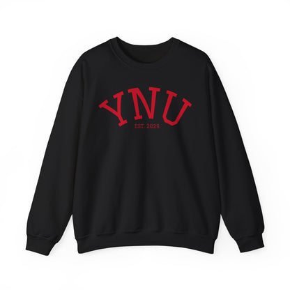 UNIVERSITY Crewneck